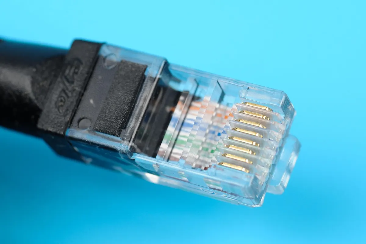 Close-up of an ethernet cable plug with its gold contacts showing, the connection every byte of your website travels through.